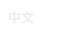 中文