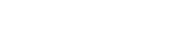 Professional Work Experience 